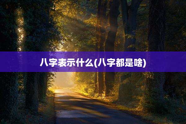 八字表示什么(八字都是啥)