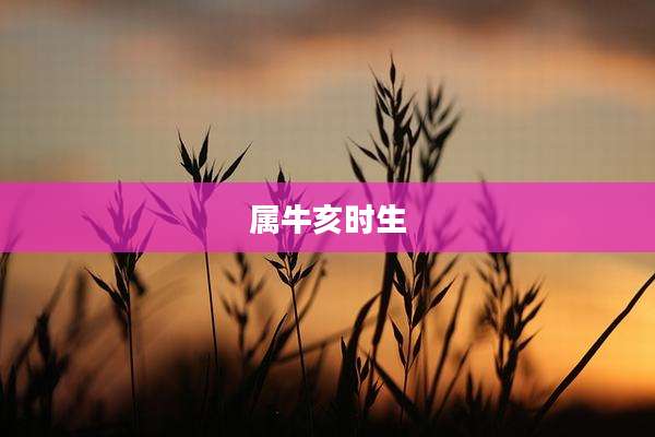 属牛亥时生