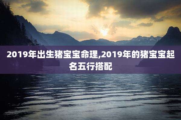 2019年出生猪宝宝命理,2019年的猪宝宝起名五行搭配