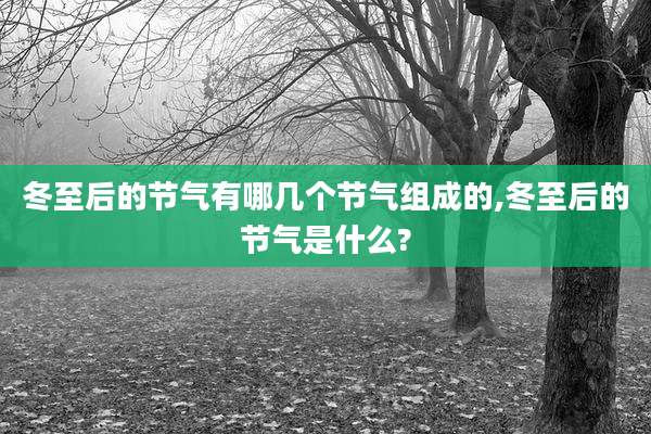冬至后的节气有哪几个节气组成的,冬至后的节气是什么?