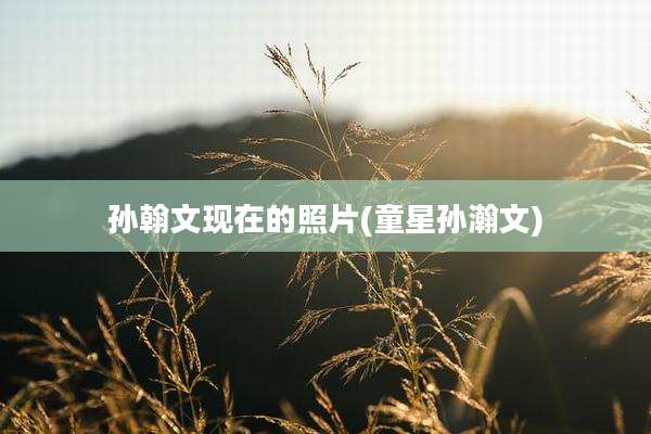 孙翰文现在的照片(童星孙瀚文)