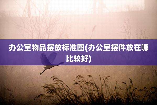 办公室物品摆放标准图(办公室摆件放在哪比较好)