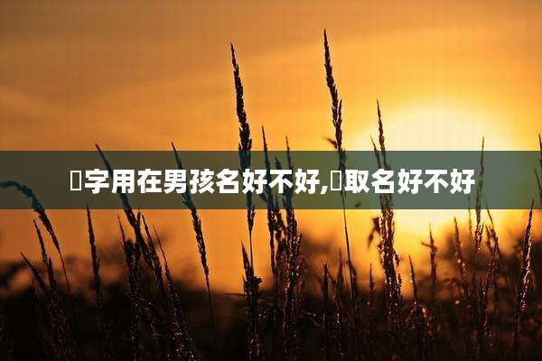 瑀字用在男孩名好不好,瑀取名好不好