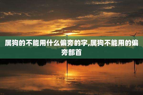 属狗的不能用什么偏旁的字,属狗不能用的偏旁部首
