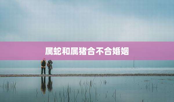 属蛇和属猪合不合婚姻