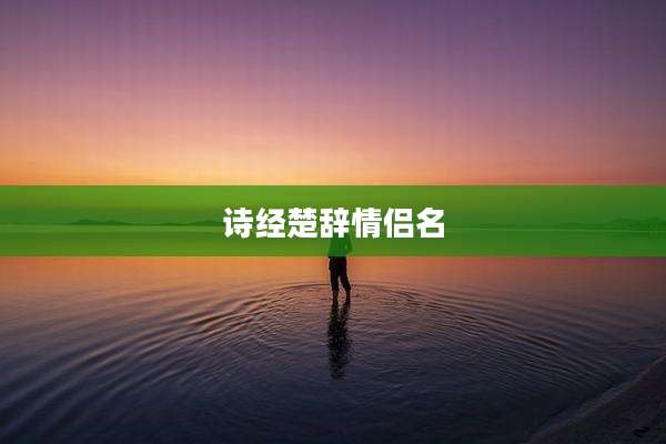 诗经楚辞情侣名