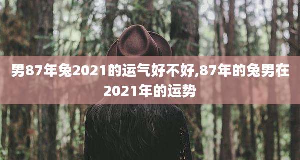 男87年兔2021的运气好不好,87年的兔男在2021年的运势