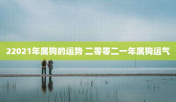 22021年属狗的运势 二零零二一年属狗运气