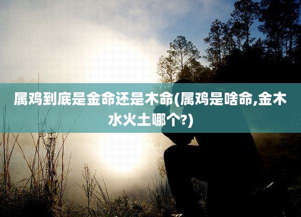 属鸡到底是金命还是木命(属鸡是啥命,金木水火土哪个?)