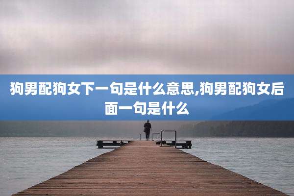 狗男配狗女下一句是什么意思,狗男配狗女后面一句是什么