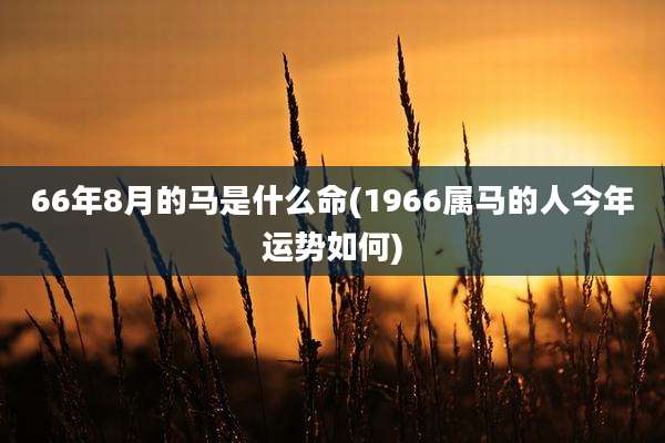 66年8月的马是什么命(1966属马的人今年运势如何)