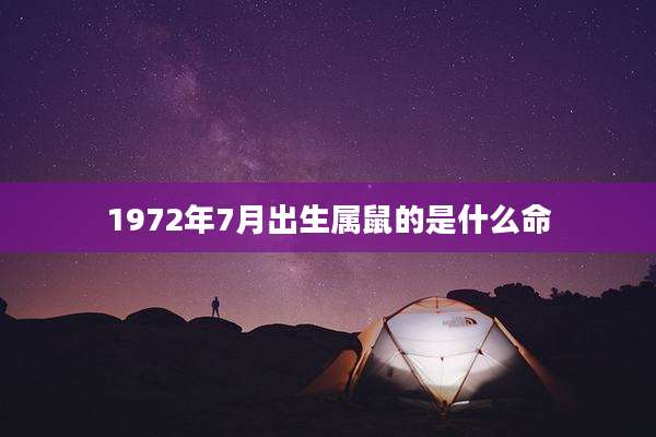 1972年7月出生属鼠的是什么命