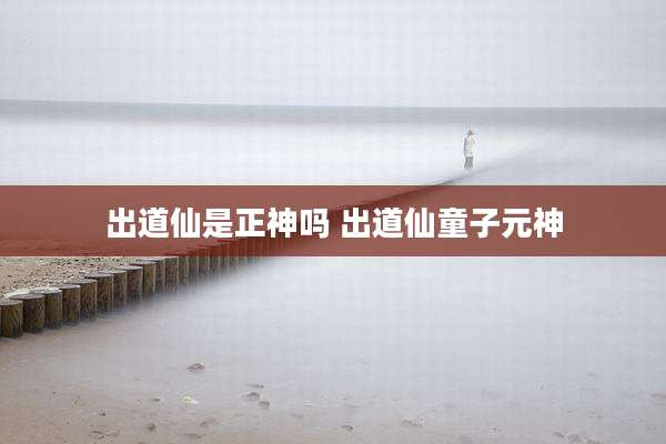 出道仙是正神吗 出道仙童子元神