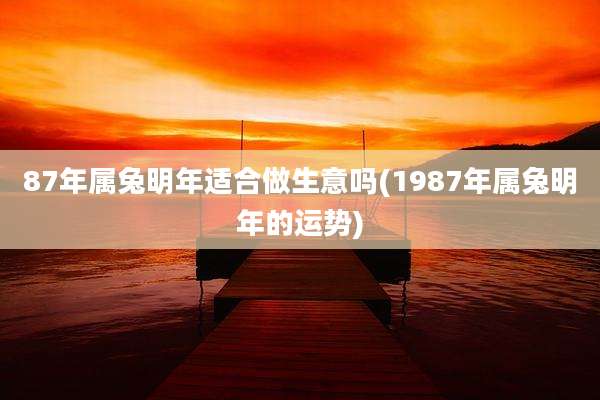 87年属兔明年适合做生意吗(1987年属兔明年的运势)
