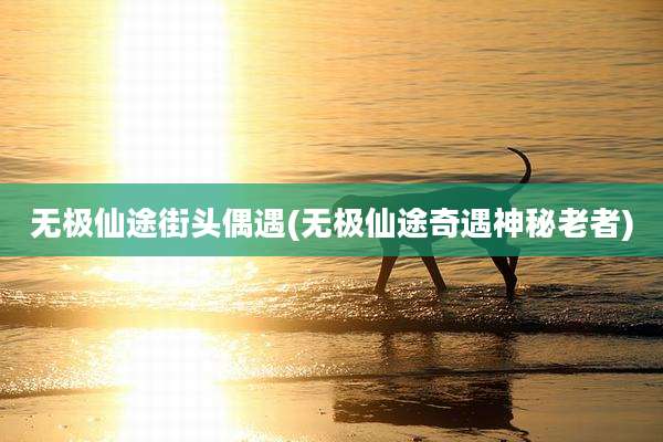 无极仙途街头偶遇(无极仙途奇遇神秘老者)