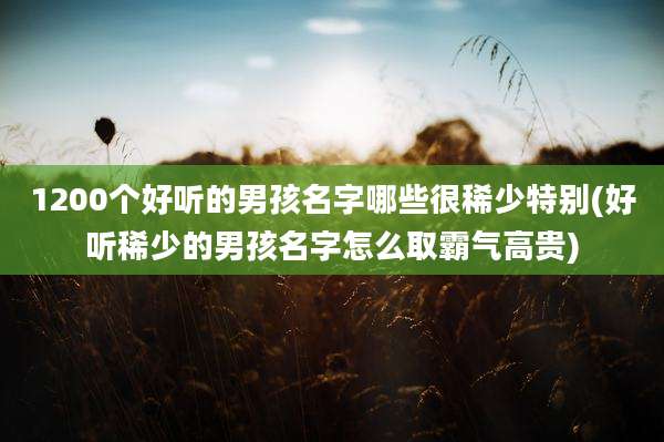 1200个好听的男孩名字哪些很稀少特别(好听稀少的男孩名字怎么取霸气高贵)