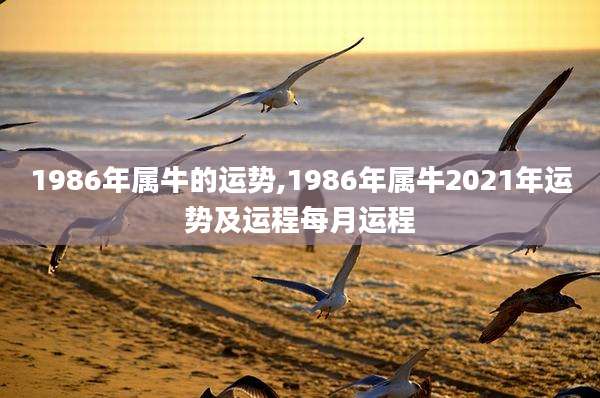 1986年属牛的运势,1986年属牛2021年运势及运程每月运程