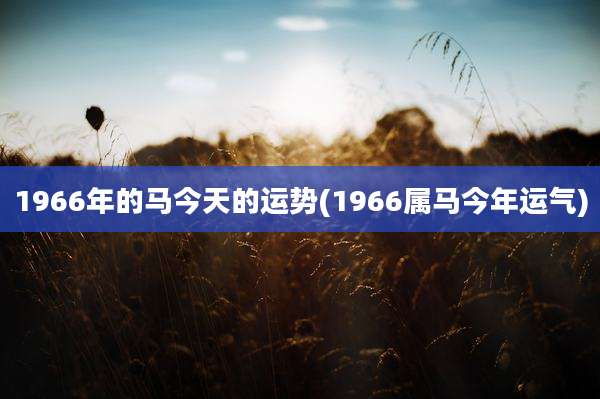 1966年的马今天的运势(1966属马今年运气)