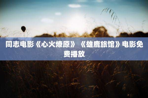 同志电影《心火燎原》 《雄鹿旅馆》电影免费播放