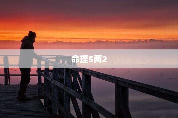 命理5两2
