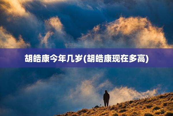 胡皓康今年几岁(胡皓康现在多高)