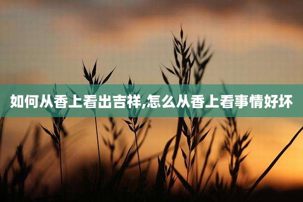 如何从香上看出吉祥,怎么从香上看事情好坏