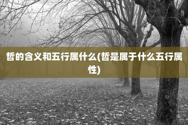 哲的含义和五行属什么(哲是属于什么五行属性)