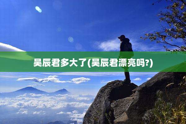 吴辰君多大了(吴辰君漂亮吗?)