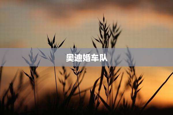 奥迪婚车队