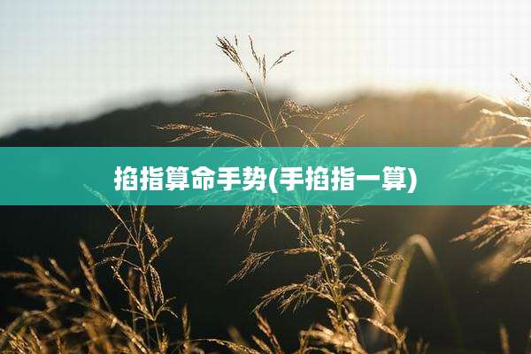 掐指算命手势(手掐指一算)