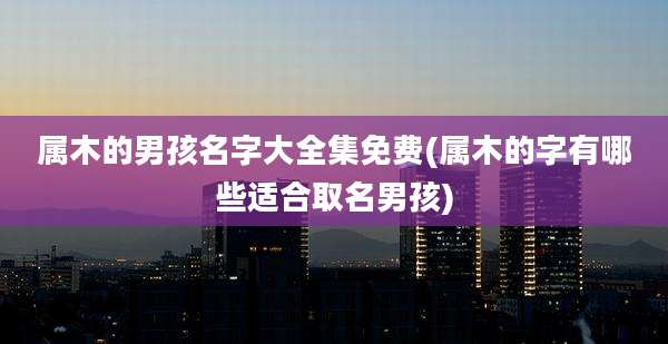 属木的男孩名字大全集免费(属木的字有哪些适合取名男孩)