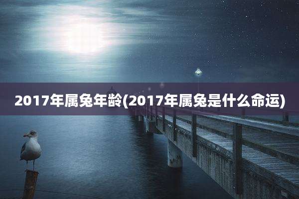 2017年属兔年龄(2017年属兔是什么命运)