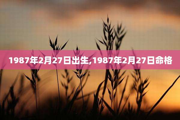 1987年2月27日出生,1987年2月27日命格