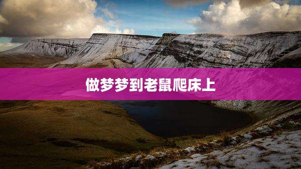 做梦梦到老鼠爬床上