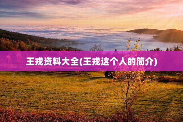 王戎资料大全(王戎这个人的简介)