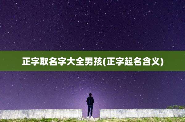 正字取名字大全男孩(正字起名含义)