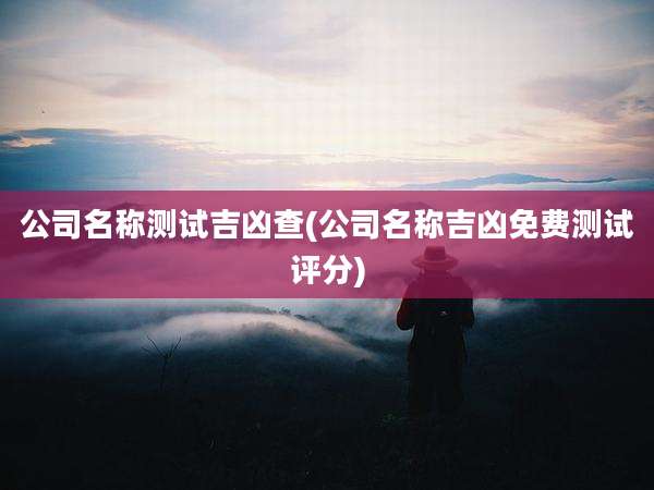 公司名称测试吉凶查(公司名称吉凶免费测试评分)