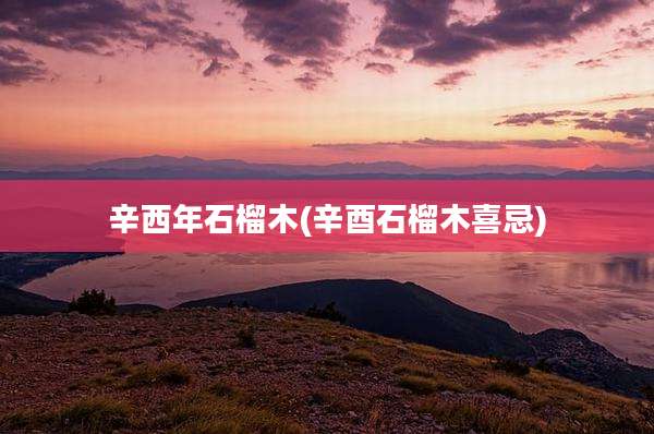 辛西年石榴木(辛酉石榴木喜忌)