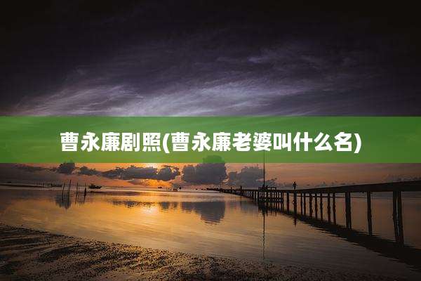 曹永廉剧照(曹永廉老婆叫什么名)