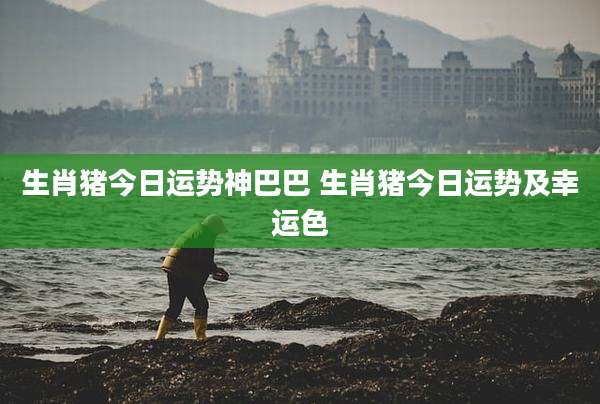 生肖猪今日运势神巴巴 生肖猪今日运势及幸运色