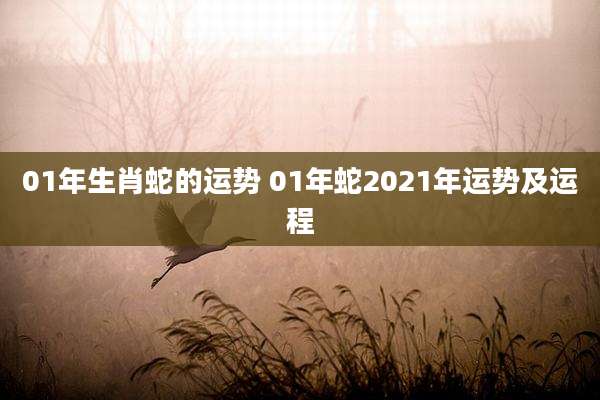 01年生肖蛇的运势 01年蛇2021年运势及运程