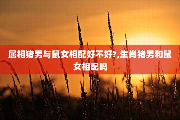 属相猪男与鼠女相配好不好?,生肖猪男和鼠女相配吗