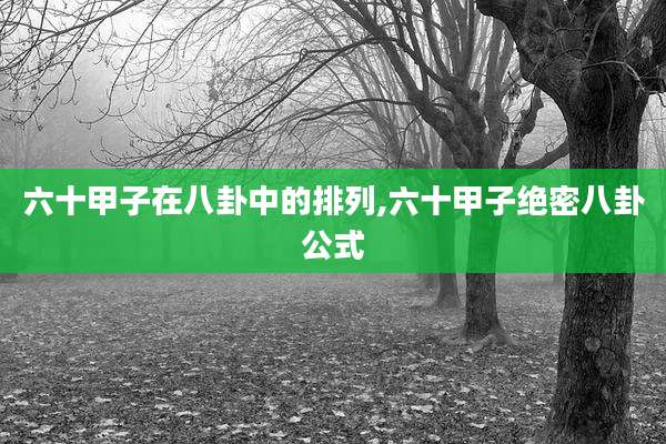 六十甲子在八卦中的排列,六十甲子绝密八卦公式