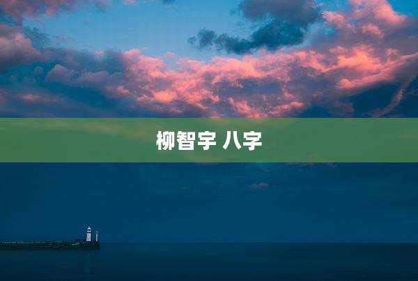 柳智宇 八字