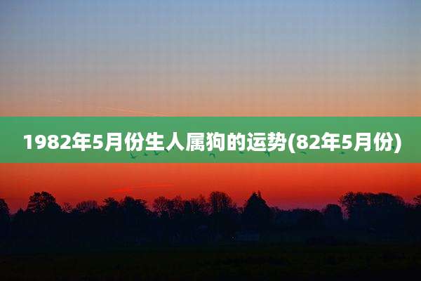 1982年5月份生人属狗的运势(82年5月份)
