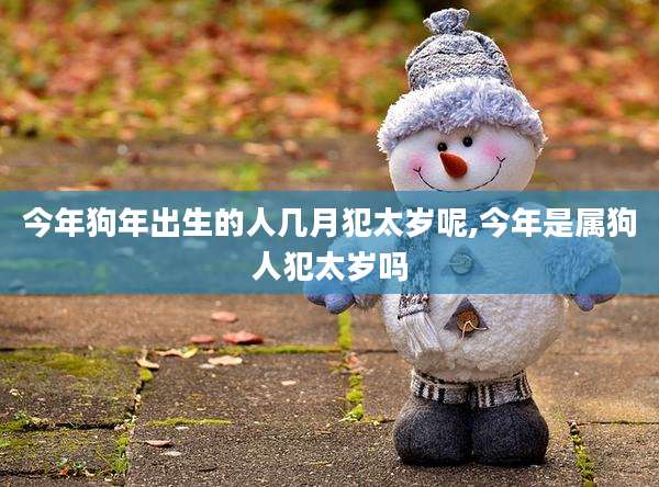 今年狗年出生的人几月犯太岁呢,今年是属狗人犯太岁吗