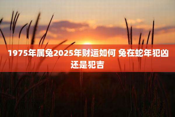 1975年属兔2025年财运如何 兔在蛇年犯凶还是犯吉