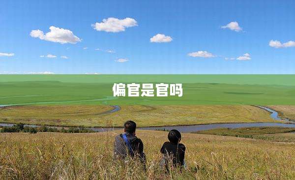 偏官是官吗