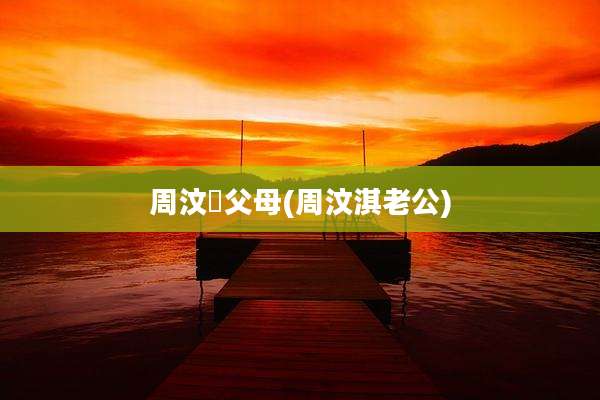 周汶锜父母(周汶淇老公)