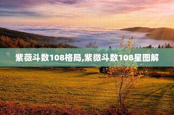 紫薇斗数108格局,紫微斗数108星图解